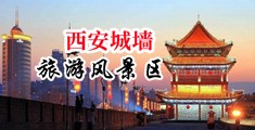 男技师用力的插我的小逼中国陕西-西安城墙旅游风景区